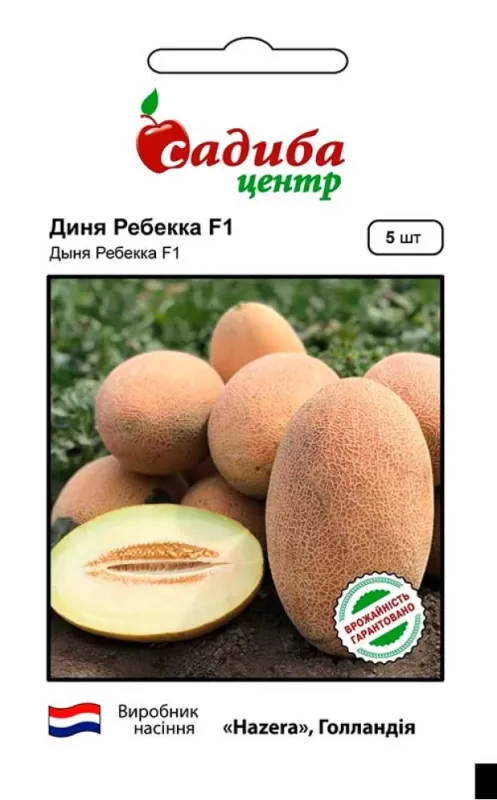 Диня Ребекка F1, 5шт