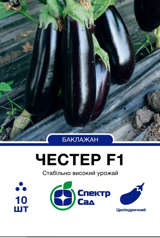 Баклажан Честер F1, 10 шт