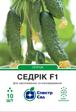 Огірок Седрік F1, 10 шт
