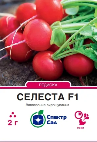 Редиска Селеста F1, 2 г 