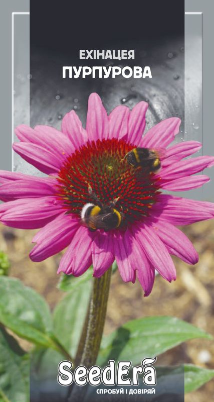 Ехінацея Пурпурова , 0,5 г