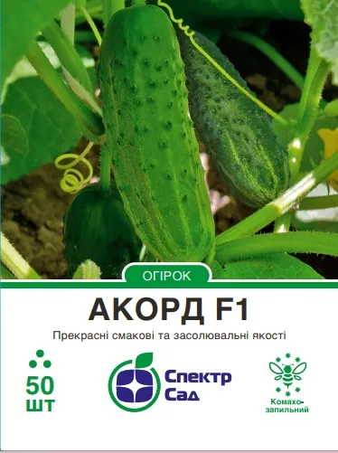 Огірок Акорд F1, 50 шт