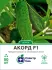 Огірок Акорд F1, 50 шт