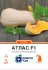 Гарбуз Атлас F1, 5 шт