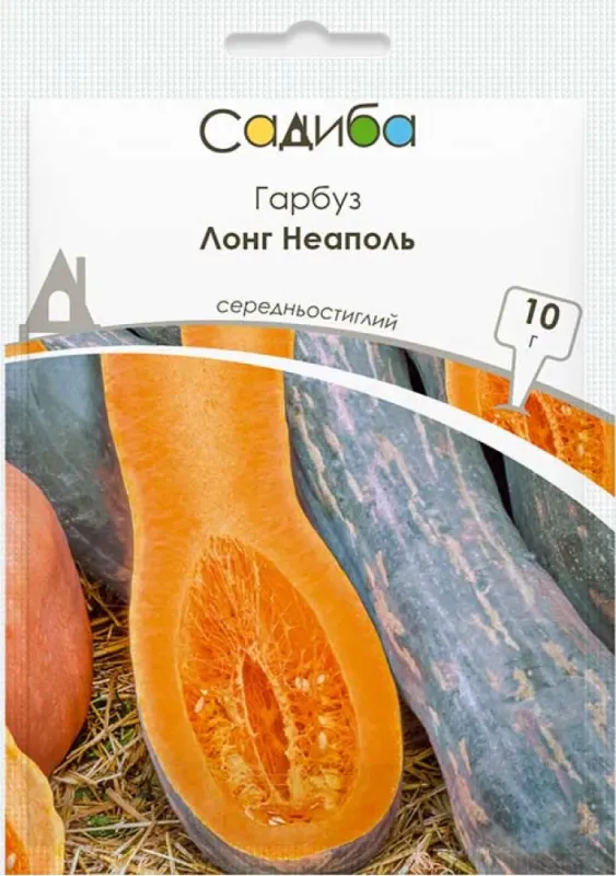 Гарбуз Лонг Неаполь, 10 г садиба