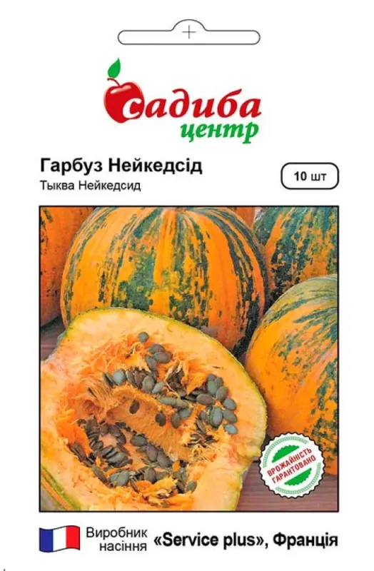Гарбуз Нейкедсід, 10 шт садиба