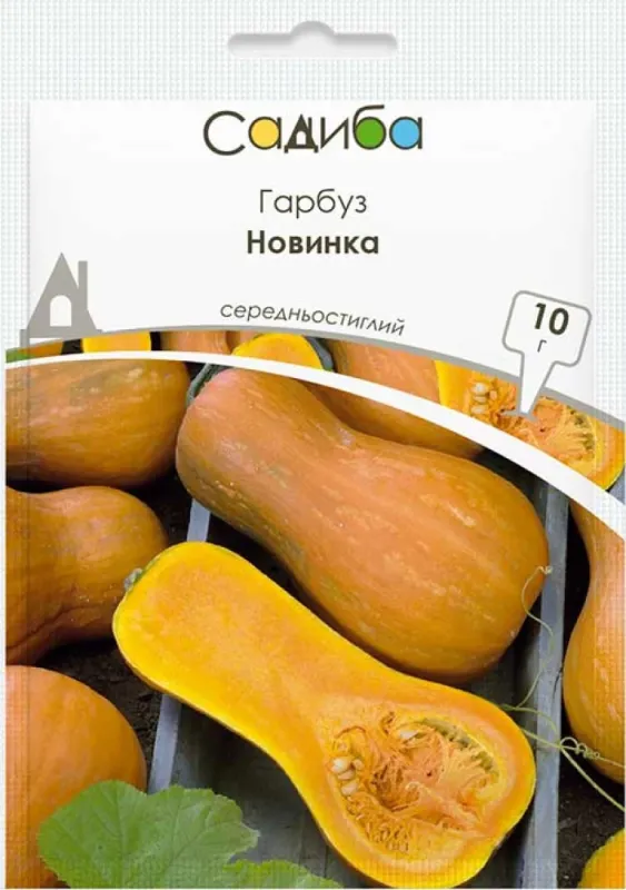 Гарбуз Новинка,10 гр