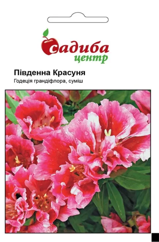 Годеція Південна красуня грандіфлора