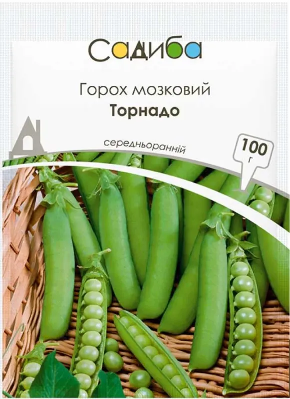 Горох мозковий Торнадо, 100