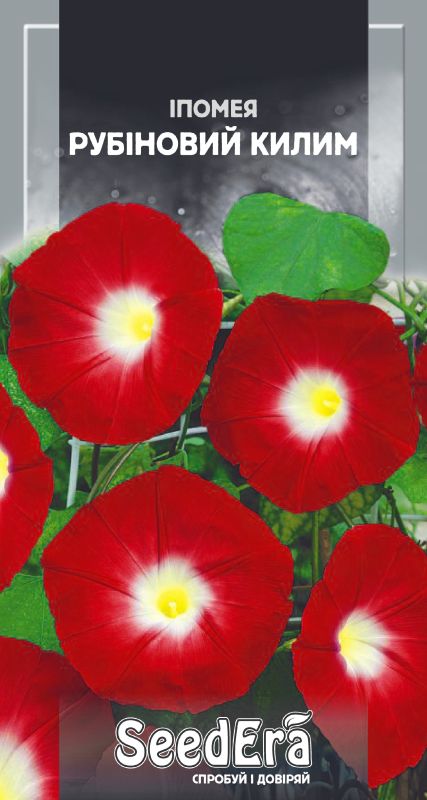 Насіння квітів іпомея Рубіновий килим  1 грSeedera