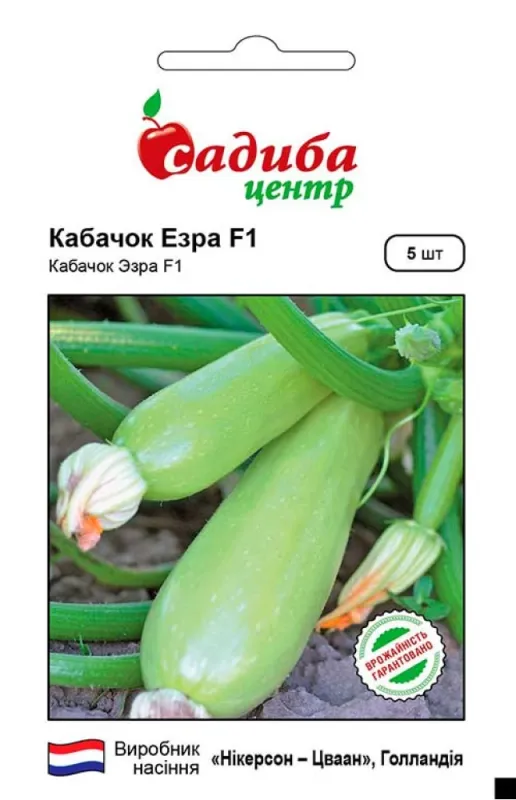 Кабачок Езра F1, 5шт