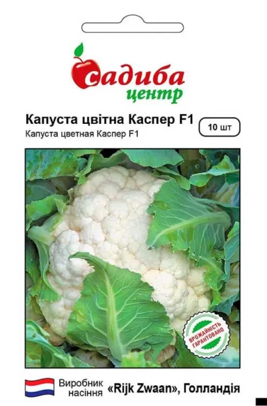 Капуста цвітна Каспер F1, 10 шт