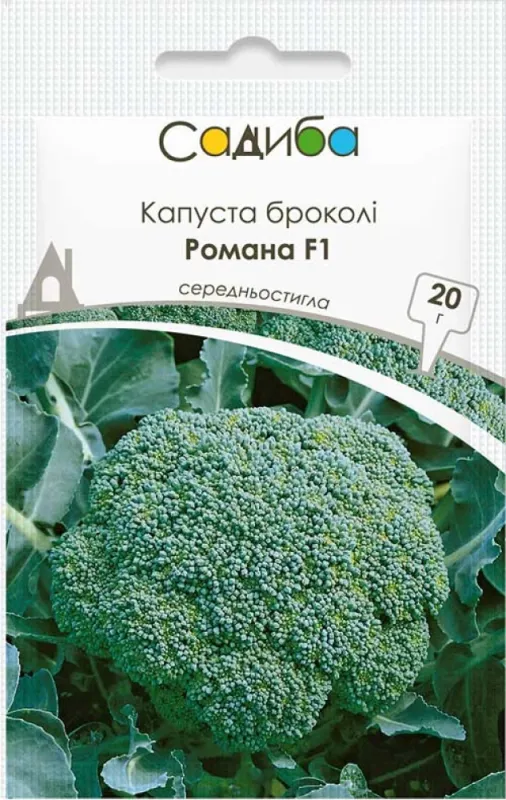 Капуста броколі Романа F1, 20 шт