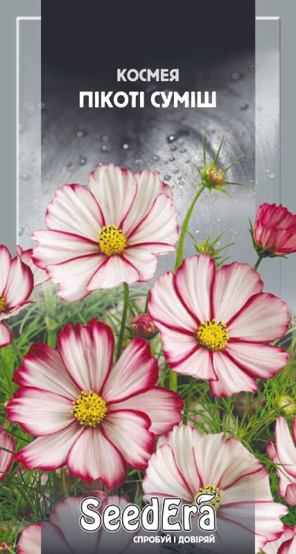 Насіння квітів Космея Пікоті Суміш 0,5 гр