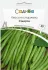 Квасоля спаржева Сідерал, 10 г