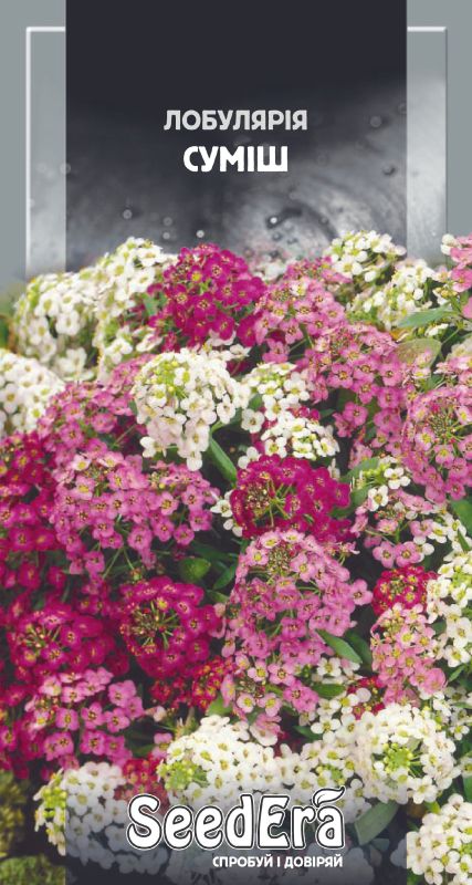 Насіння Лобулярії (аліссіум) Суміш 0,1 г