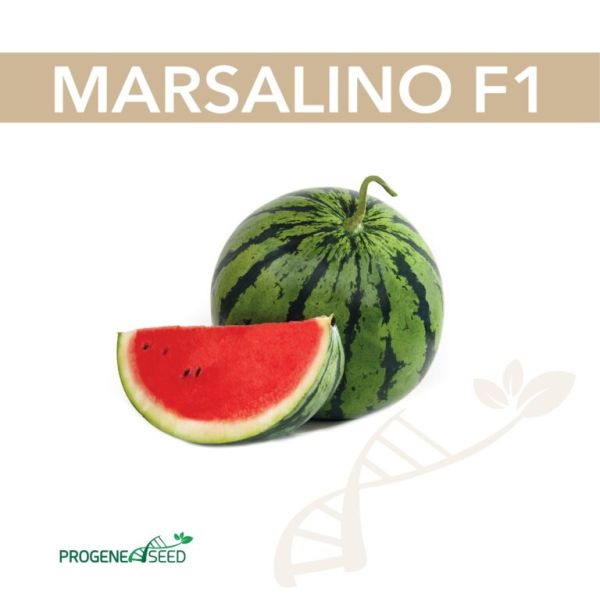 Кавун MARSALINO F1 ( Марсаліно F1) 8 шт