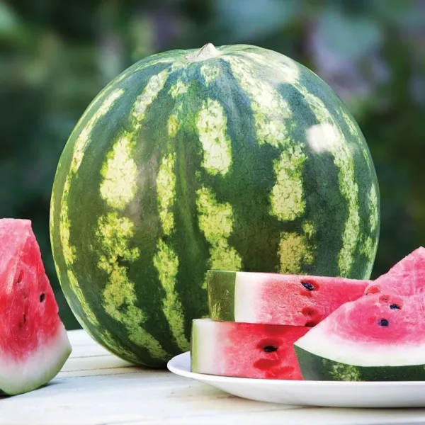 Кавун Кримсон Світ (Crimson Sweet), 5 гр власне фасування