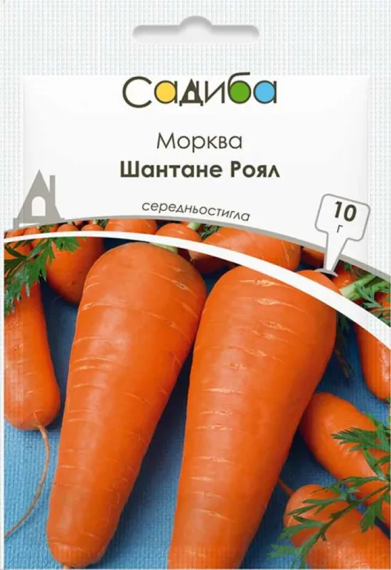 Морква Шантане Роял, 10 г