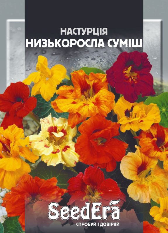 Насіння Настурції  Культурна Низькоросла Суміш, 10 г