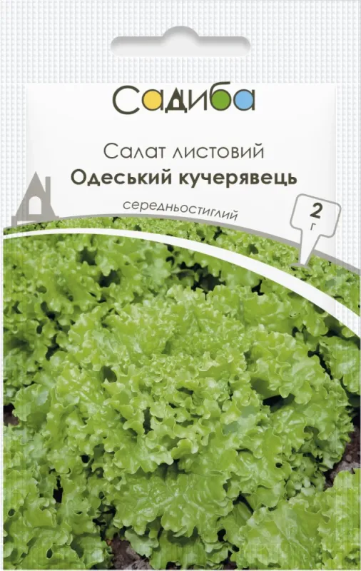 Салат листовий Одеський кучерявець, 2 г садиба