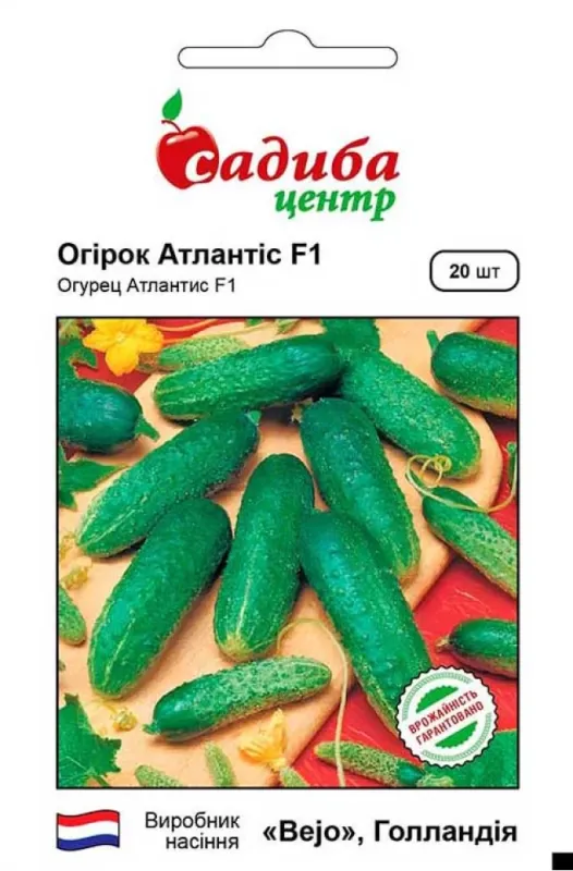 Огірок Атлантіс F1, 20 шт садиба