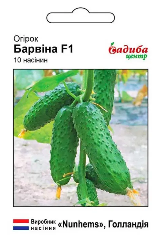 Огірок Барвіна F1, 10 шт