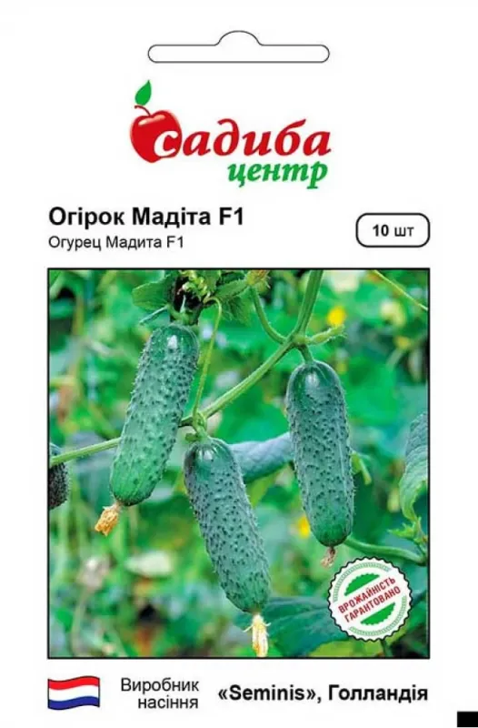 Огірок Мадіта F1, 10 шт