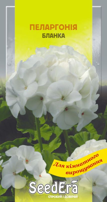 Насіння Пеларгонії Бланка, 5 шт