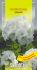 Насіння Пеларгонії Бланка, 5 шт