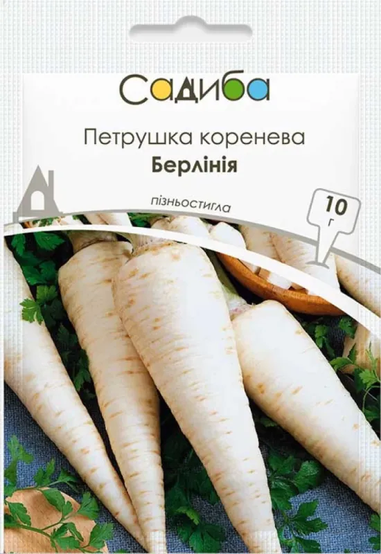 Петрушка коренева Берлінія, 10 г садиба