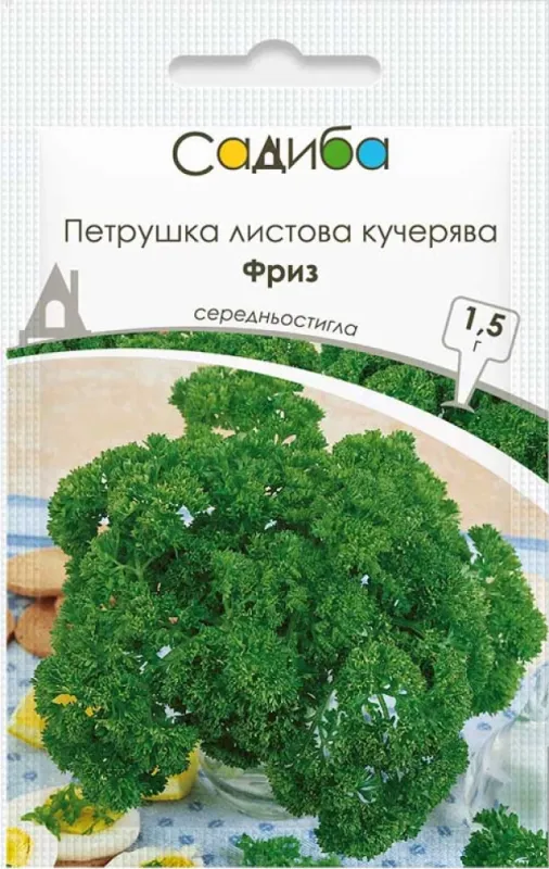 Петрушка листова кучерява Фриз, 1,5 гр садиба