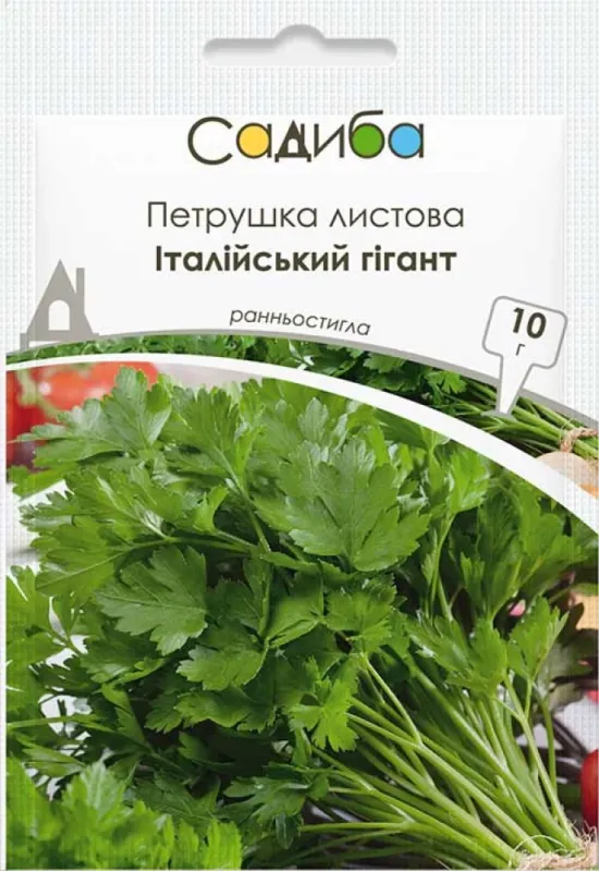 Петрушка листова Італійський гігант, 10 г садиба