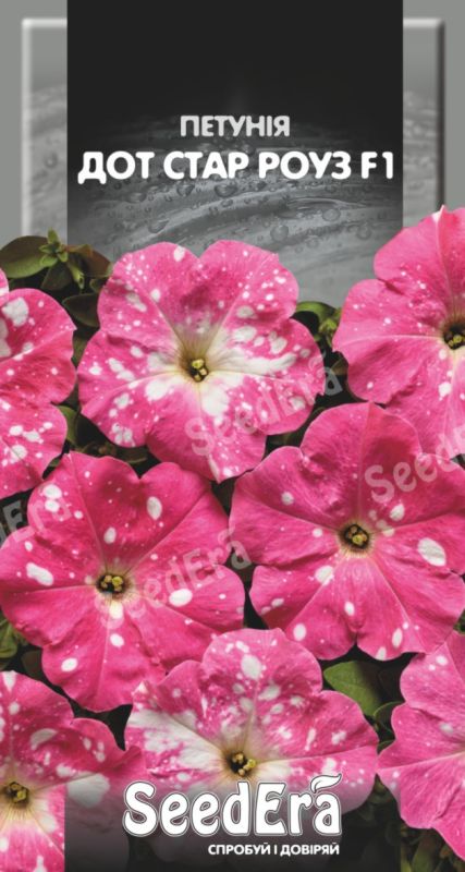 Петунія Дот Стар Роуз F1, 10 шт