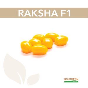 Томат RAKSHA F1 (Ракша F1) 5 шт