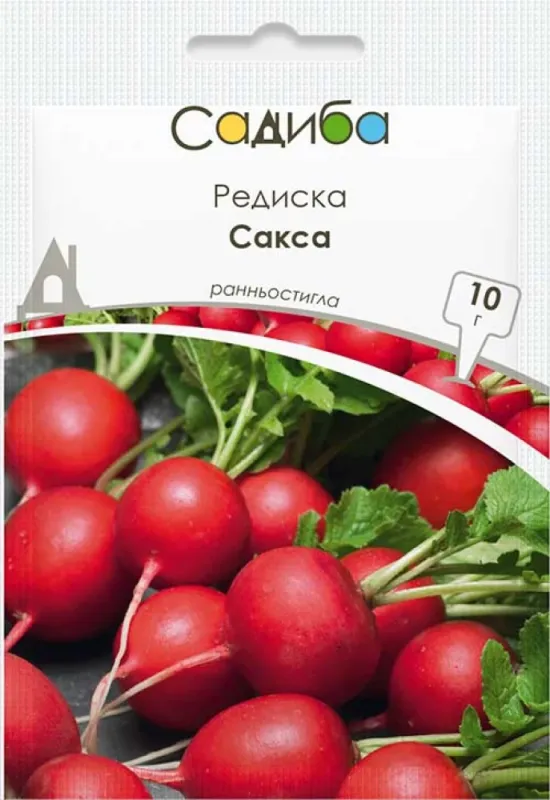Редиска Сакса, 10 г садиба