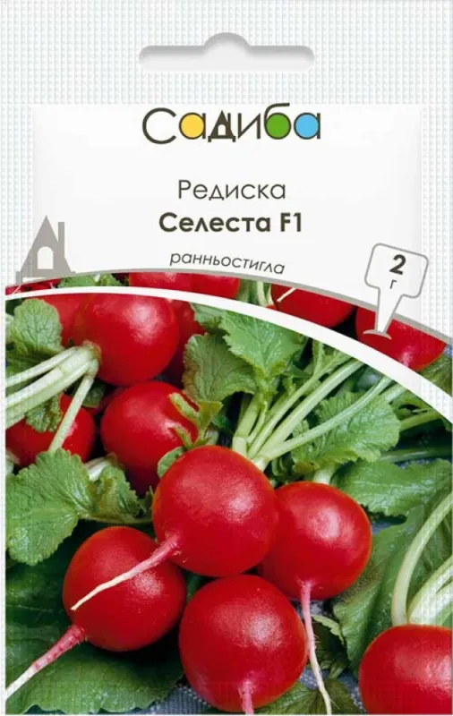 Редиска Селеста F1, 2 г 