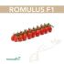 Томат ROMULUS F1 (Ромулус F1) 5 шт