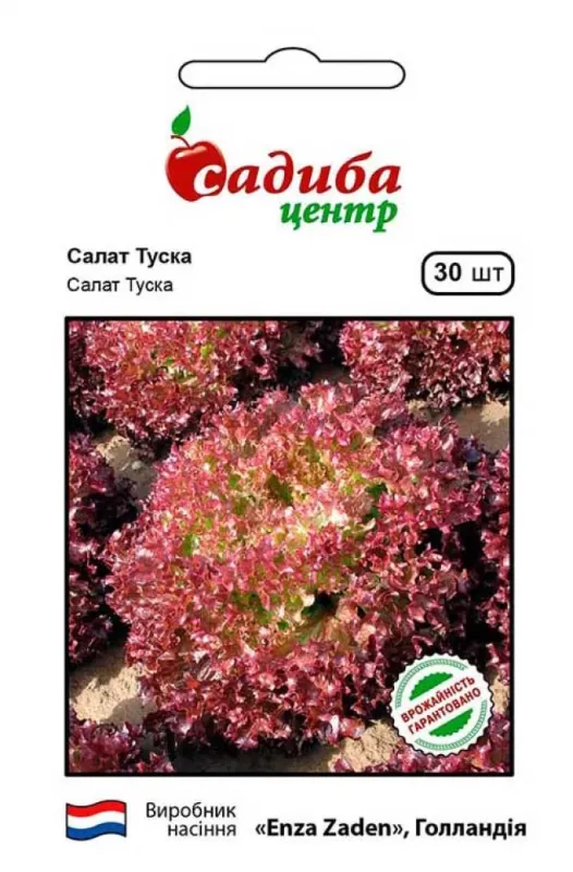 Салат листовий Туска 30 шт