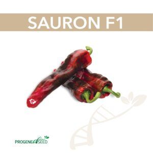 Насіння перцю Саурон F1 , 8 шт власне фасування