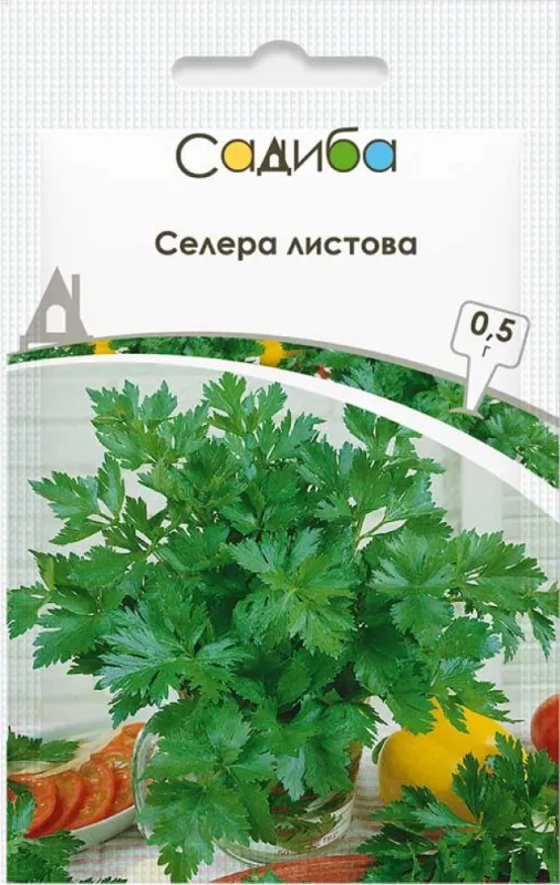 Селера листова,  0,5 г садиба