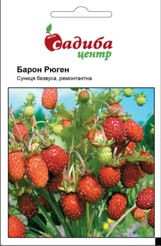 Насіння суниці безвусої Барон Рюген, 0,2 г