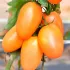 Томат Де Барао помаранчевий 0,1 г