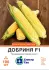 Цукрова кукурудза Добриня F1, 100 шт